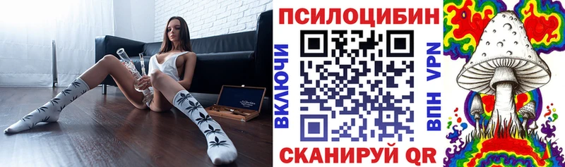 Галлюциногенные грибы Psilocybine cubensis Западная Двина